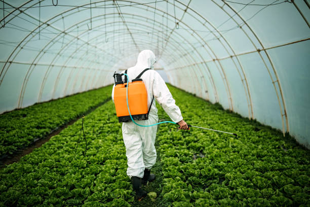 Best Pest Prevention Services  in Fritch, TX