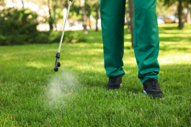 Trusted Fritch, TX Pest Control Experts