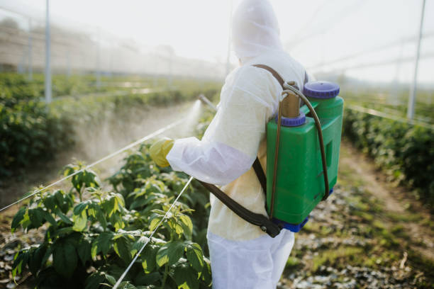 Best Pest Control Near Me  in Fritch, TX